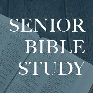 Seniors Bible Study